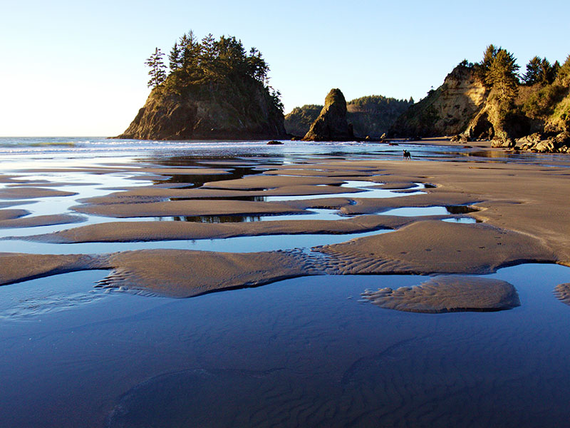 Trinidad, Ca. Real Estate